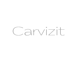 logocarvizit